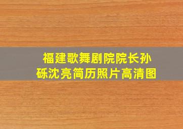 福建歌舞剧院院长孙砾沈亮简历照片高清图