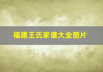 福建王氏家谱大全图片