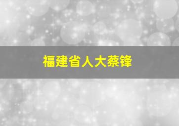 福建省人大蔡锋