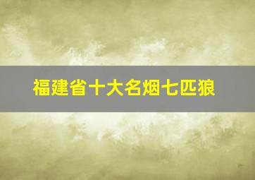 福建省十大名烟七匹狼