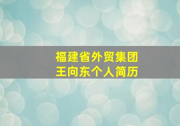 福建省外贸集团王向东个人简历