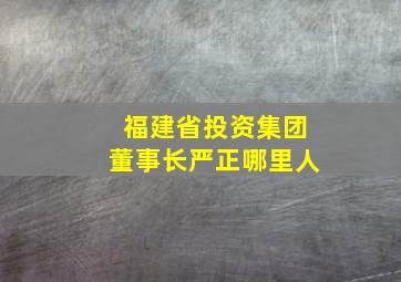 福建省投资集团董事长严正哪里人