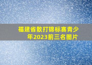 福建省散打锦标赛青少年2023前三名图片