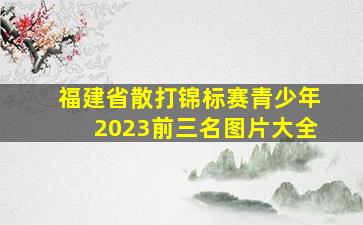 福建省散打锦标赛青少年2023前三名图片大全