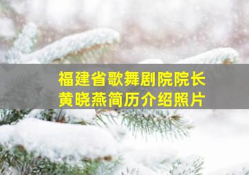 福建省歌舞剧院院长黄晓燕简历介绍照片