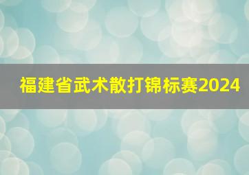 福建省武术散打锦标赛2024