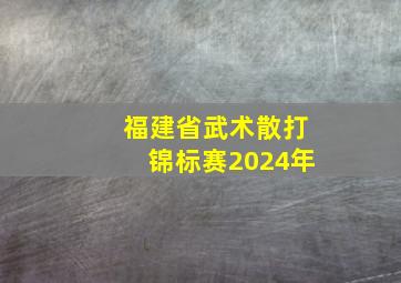 福建省武术散打锦标赛2024年