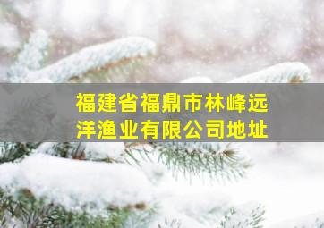 福建省福鼎市林峰远洋渔业有限公司地址