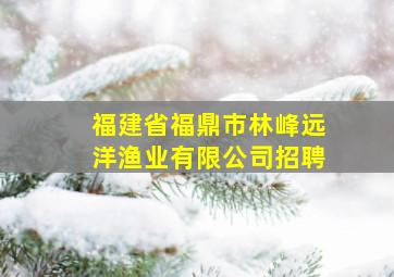 福建省福鼎市林峰远洋渔业有限公司招聘