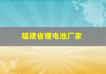 福建省锂电池厂家