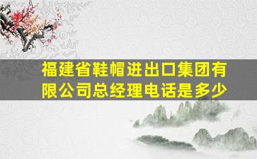 福建省鞋帽进出口集团有限公司总经理电话是多少