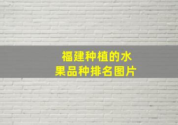 福建种植的水果品种排名图片