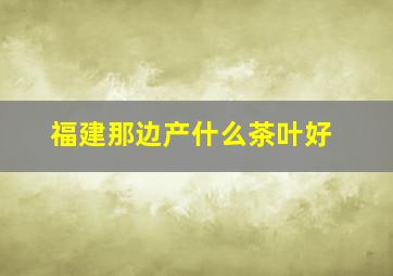 福建那边产什么茶叶好