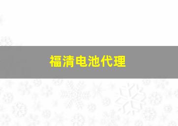 福清电池代理