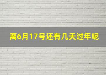 离6月17号还有几天过年呢