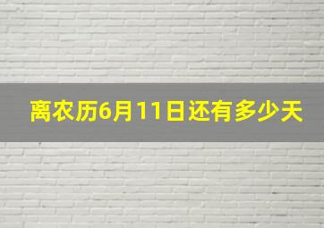 离农历6月11日还有多少天