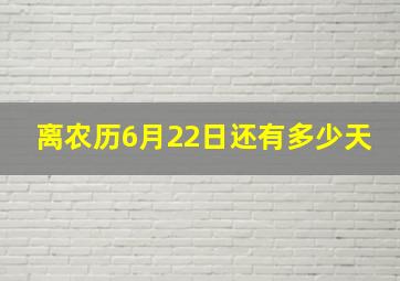 离农历6月22日还有多少天