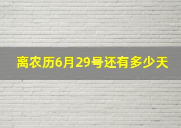 离农历6月29号还有多少天