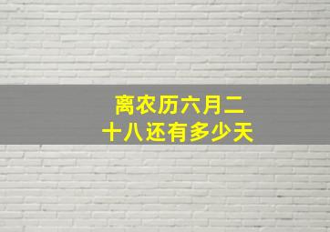 离农历六月二十八还有多少天