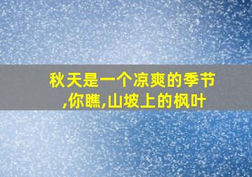 秋天是一个凉爽的季节,你瞧,山坡上的枫叶