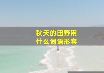 秋天的田野用什么词语形容