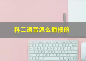 科二语音怎么播报的