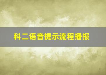 科二语音提示流程播报