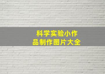 科学实验小作品制作图片大全