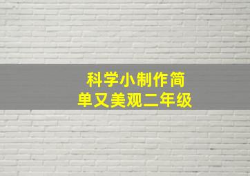 科学小制作简单又美观二年级