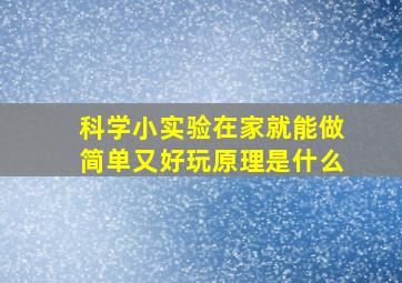 科学小实验在家就能做简单又好玩原理是什么