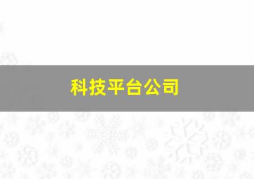 科技平台公司