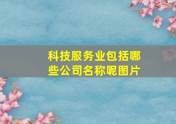 科技服务业包括哪些公司名称呢图片