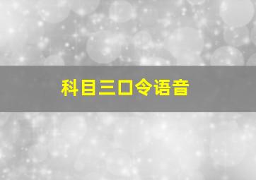 科目三口令语音