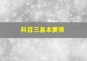 科目三基本要领