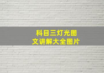 科目三灯光图文讲解大全图片