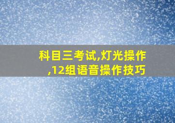 科目三考试,灯光操作,12组语音操作技巧