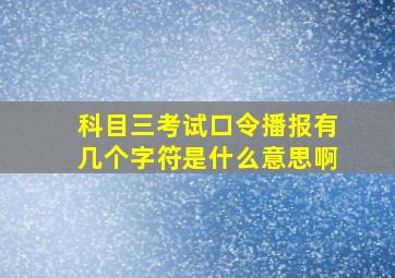 科目三考试口令播报有几个字符是什么意思啊