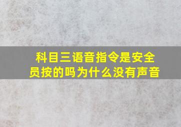 科目三语音指令是安全员按的吗为什么没有声音