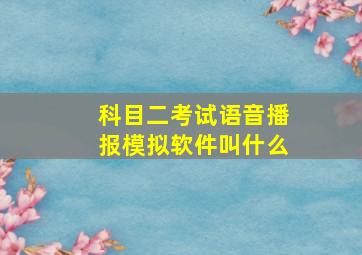 科目二考试语音播报模拟软件叫什么