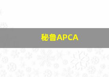 秘鲁APCA