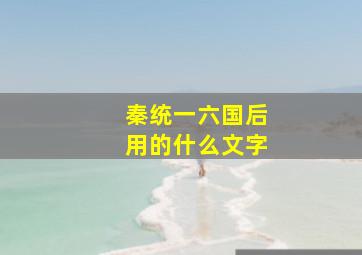 秦统一六国后用的什么文字