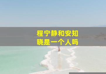 程宁静和安知晓是一个人吗