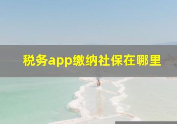 税务app缴纳社保在哪里