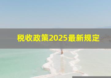 税收政策2025最新规定