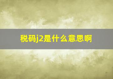 税码j2是什么意思啊