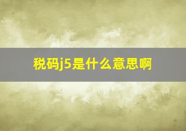 税码j5是什么意思啊