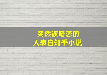 突然被暗恋的人表白知乎小说