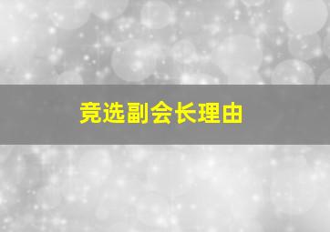 竞选副会长理由