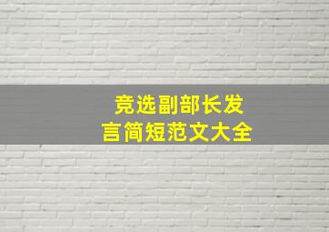 竞选副部长发言简短范文大全