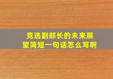 竞选副部长的未来展望简短一句话怎么写啊